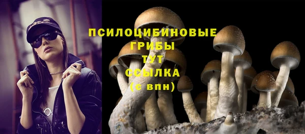 герыч Алзамай