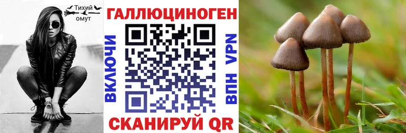 Псилоцибиновые грибы GOLDEN TEACHER  Купить  Мезень 