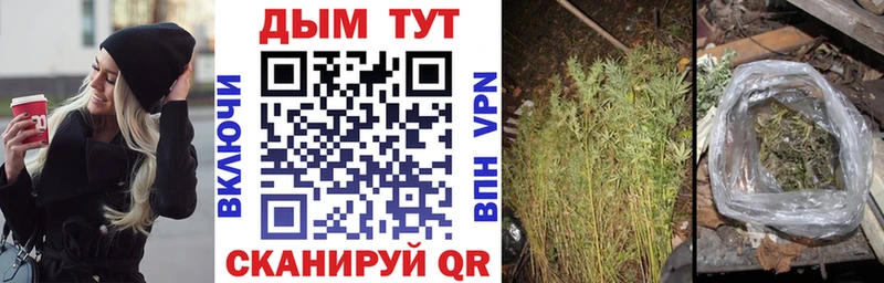 Купить закладки  Мезень  Шишки марихуана конопля 
